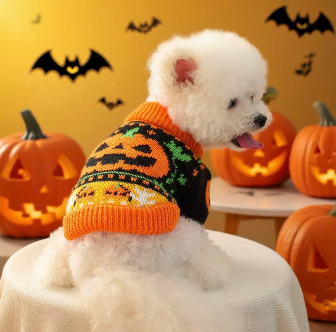 Cozy Christmas Knit Pet Sweater & Dress | Festive Holiday Dog & Cat Apparel
