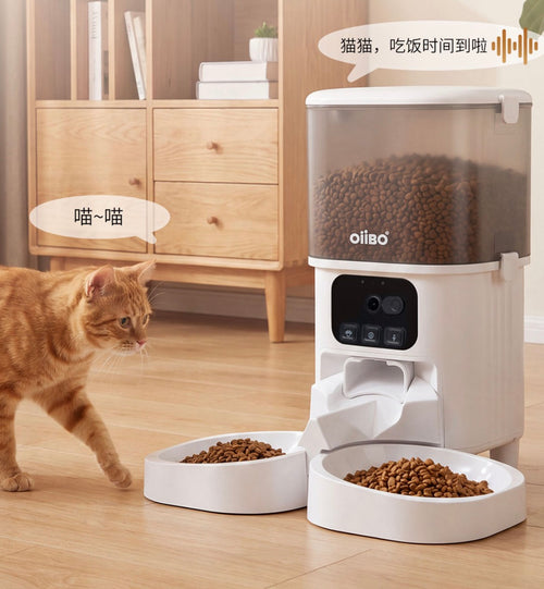 10L Smart HD Video Automatic Pet Feeder | Wi-Fi App Control with Two-Way Audio & Night Vision