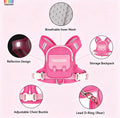 Cute Mini Backpack Pet Harness & Leash Set | No-Pull Escape-Proof Vest with Treat Pouch